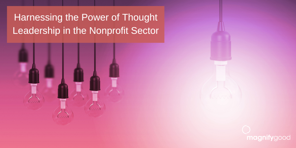 Harnessing the Power of Thought Leadership in the Nonprofit Sector