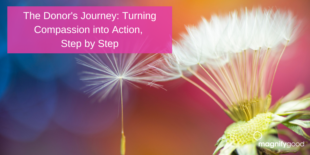 The Donor's Journey: Turning Compassion into Action, Step by Step